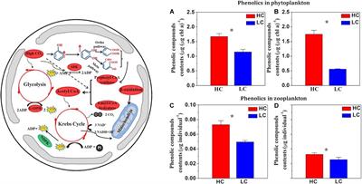 The Impacts of Ocean Acidification on Marine Food Quality ... Biology Diagrams
